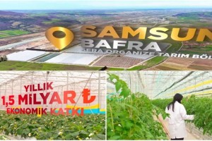 Karadeniz’in Yeni Üretim Üssü: Bafra Sera OTB
